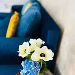 Casa Irina 2mai 4* 2 Mai