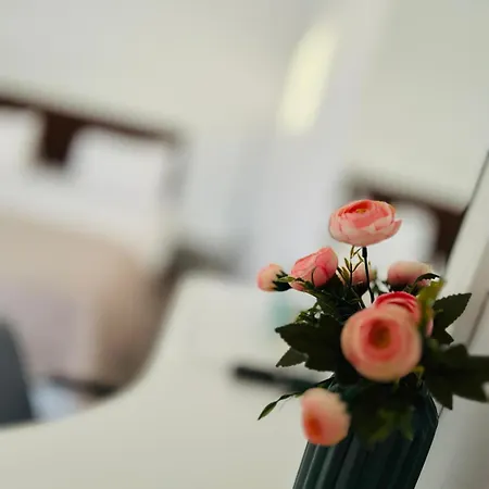 Casa Irina 2mai 招待所 多亚马伊