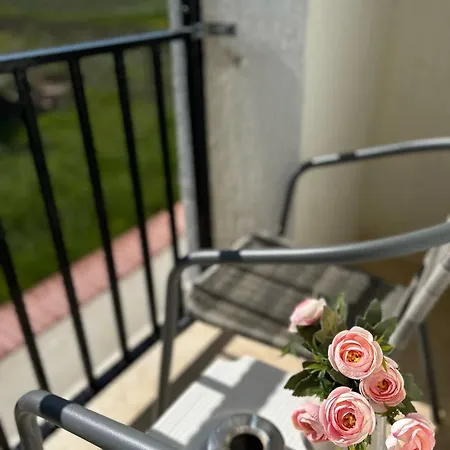 Casa Irina 2mai 招待所