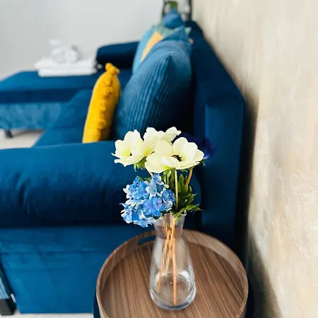 招待所 Casa Irina 2mai 多亚马伊