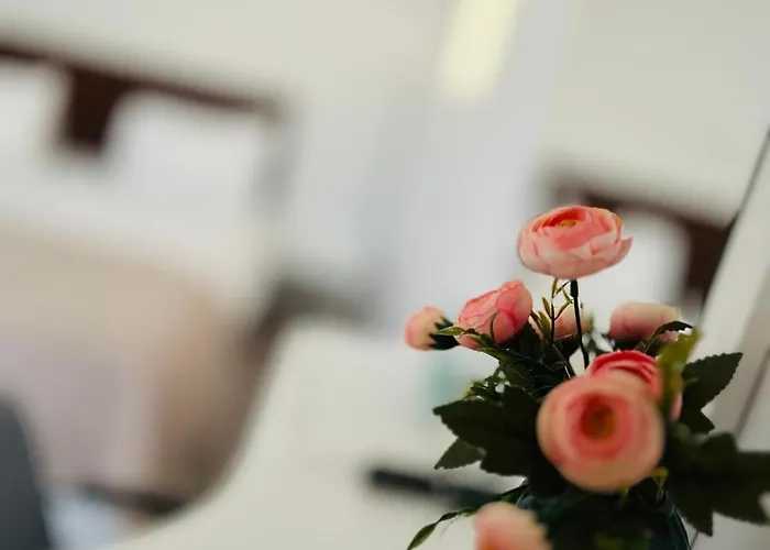 Casa Irina 2mai Πανσιόν Două Mai