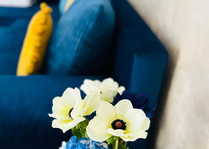 Casa Irina 2mai 4* Două Mai